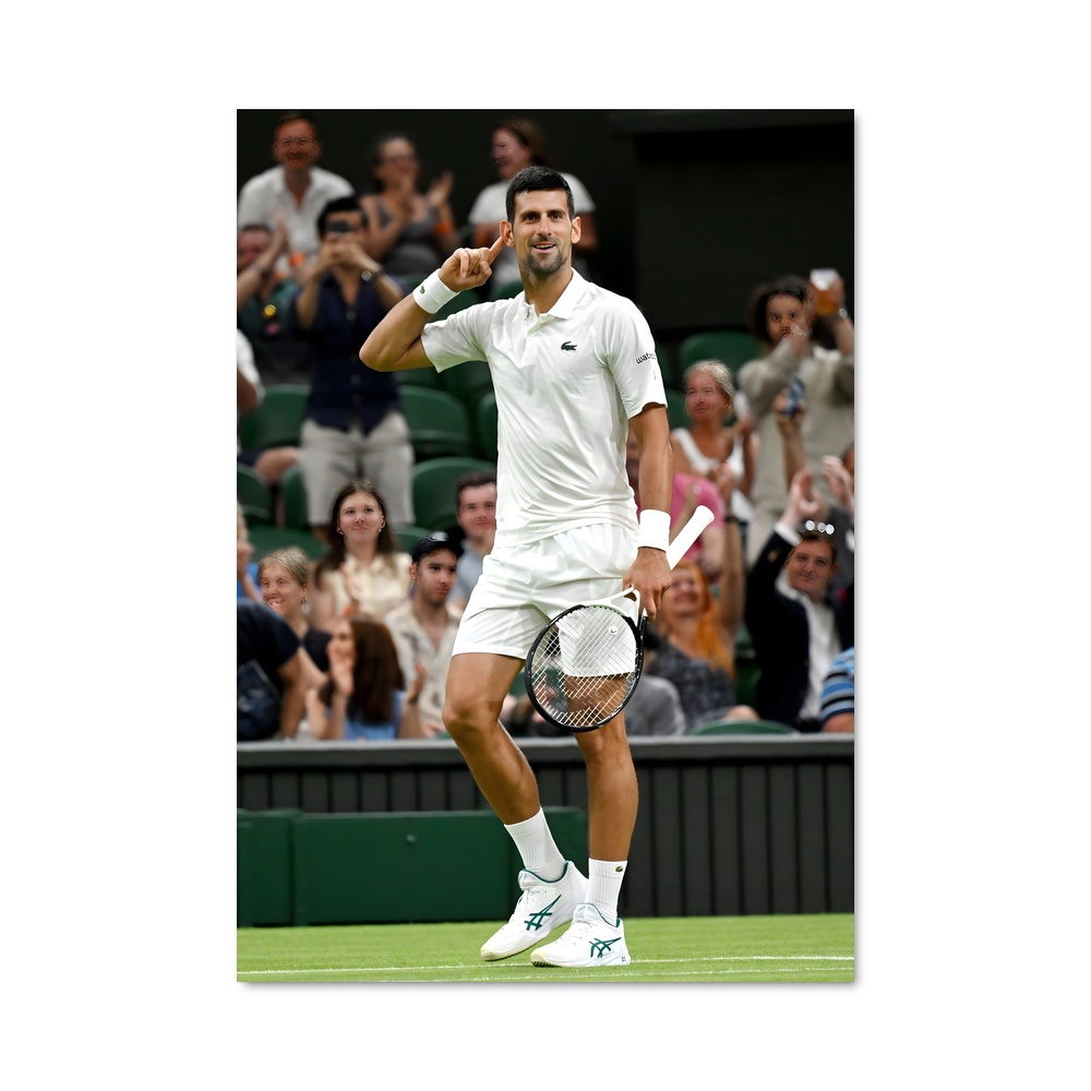 Poster Novak djokovic courts